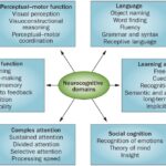 neurocognitive disorders key examples explained