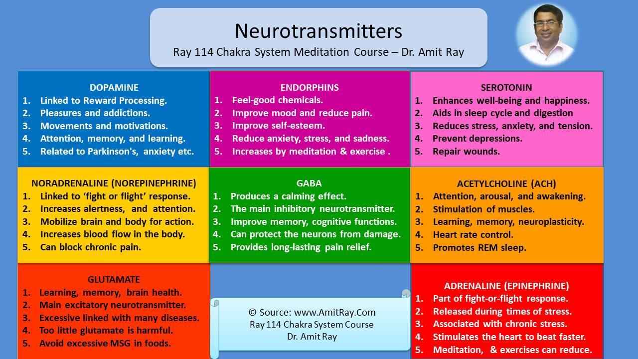 neurohormone examples and their impact on well being