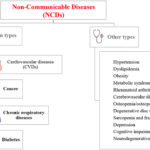 non communicable diseases key examples explained