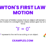 Non Examples of Motion: Key Insights non examples of motion key insights