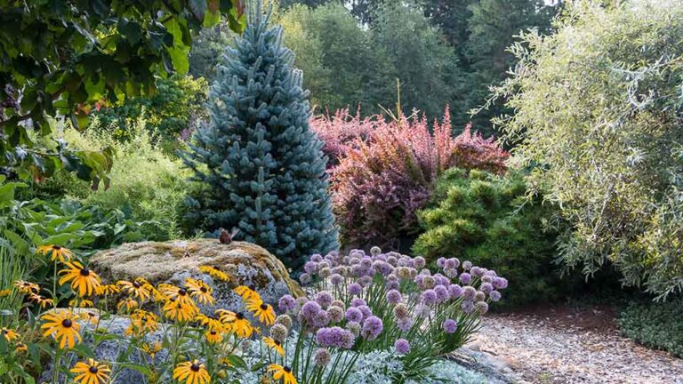 North Carolina Landscaping Ideas for Every Season
