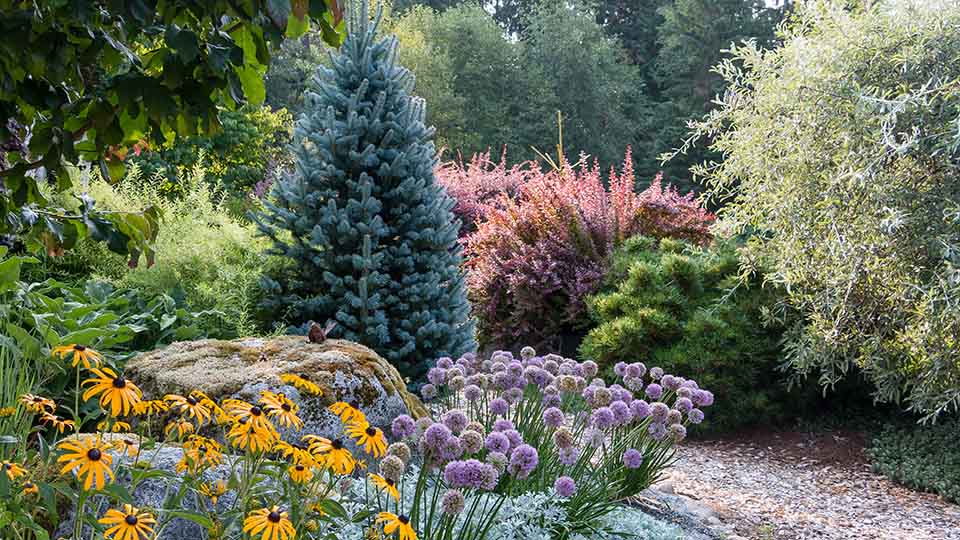 north carolina landscaping ideas for every season