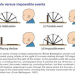 Object Permanence: Key Examples Explained object permanence key examples explained