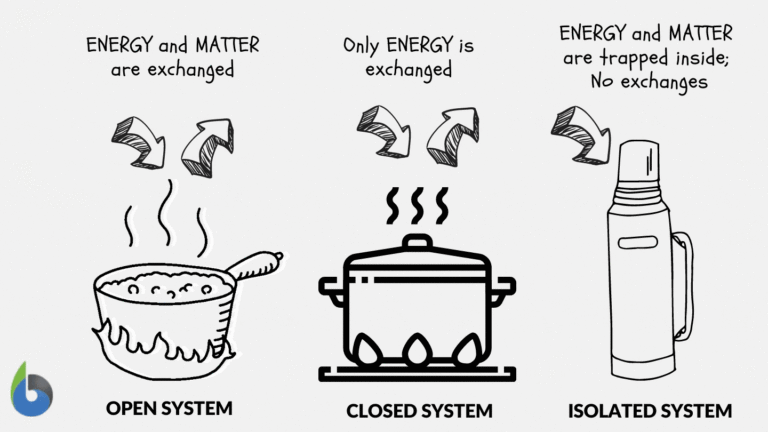 Open System Examples and Their Impact