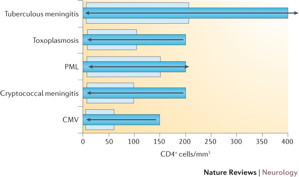 opportunistic infections in hiv key examples