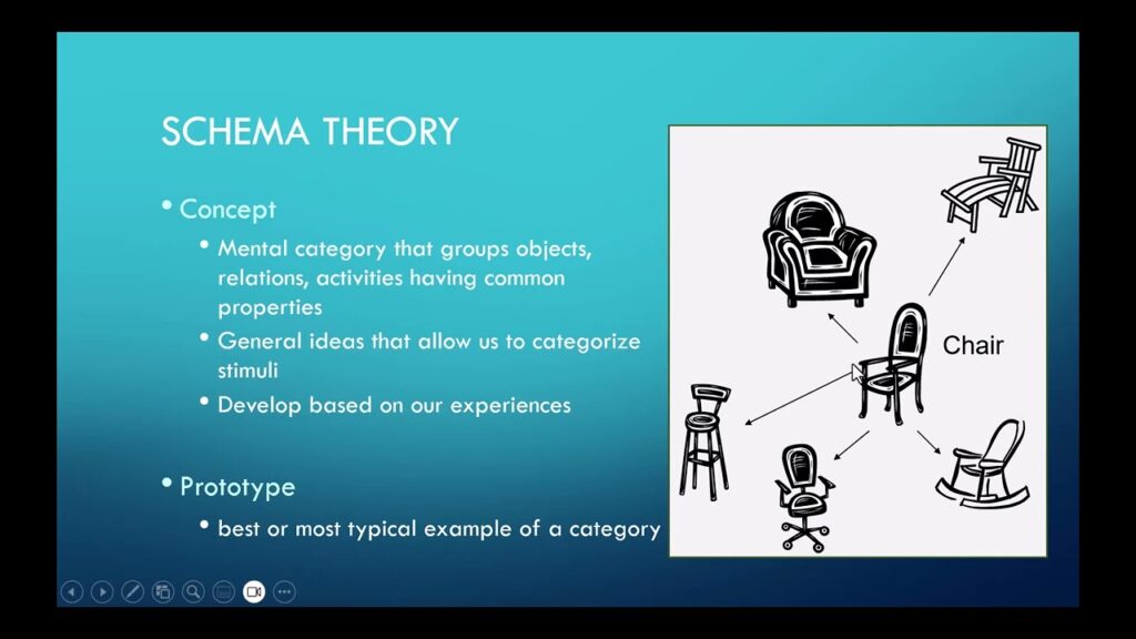 our concept of the most typical member of a category