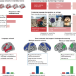 Our Language System Is: Key Examples and Insights our language system is key examples and insights