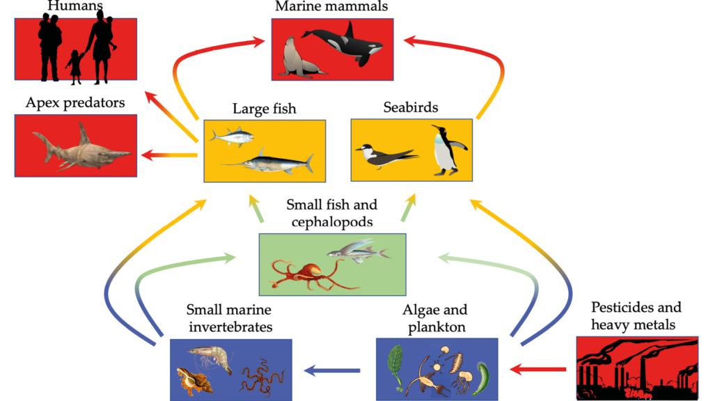 overharvesting examples and their impacts