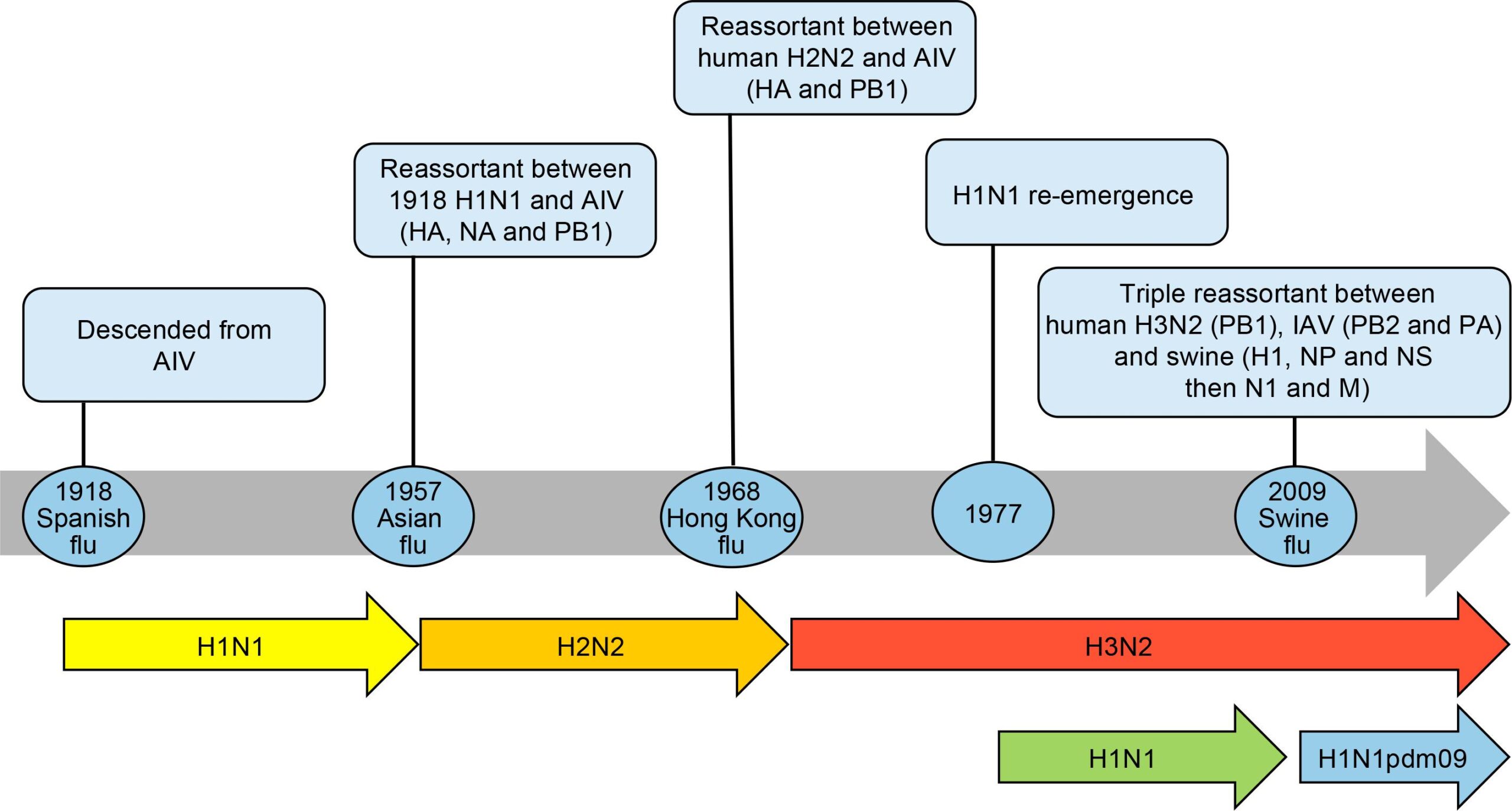 pandemic examples that shaped public health history scaled
