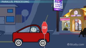 Parallel Actions Examples Parallel Processing: AP Psychology Definition & Examples
