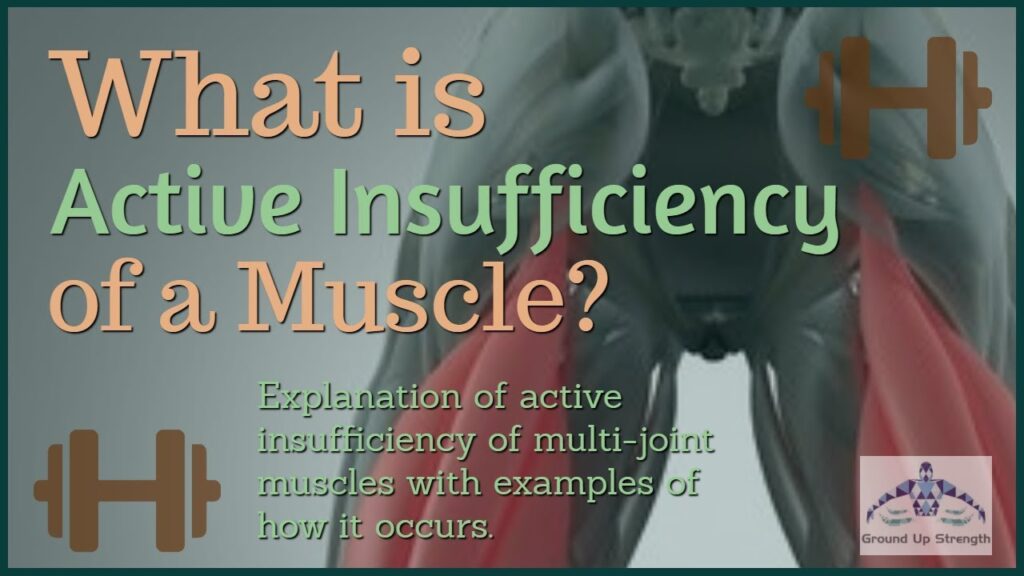 passive insufficiency key examples explained