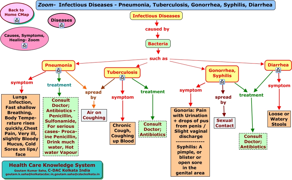 pathogens tuberculosis syphilis and pneumonia