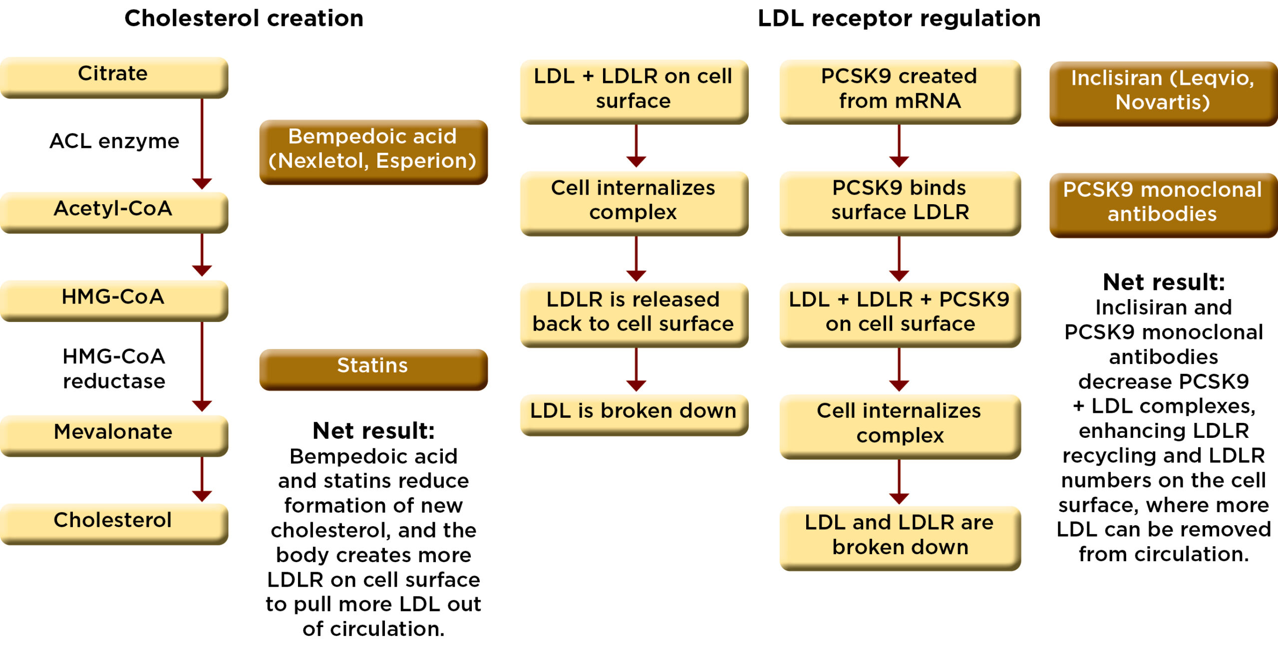 pcsk9 inhibitors effective options for cholesterol management 1 scaled