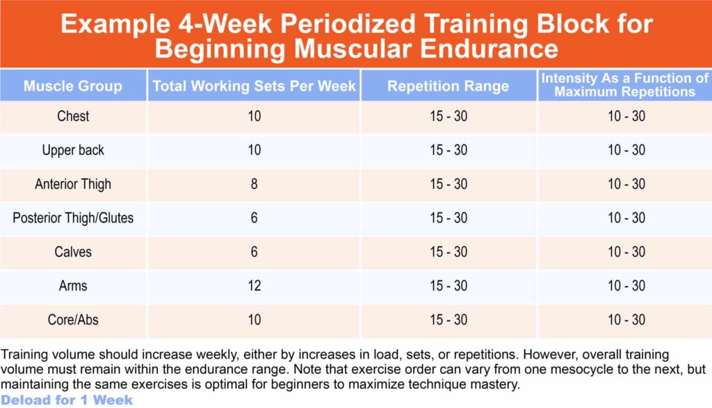 periodization examples for optimal training success
