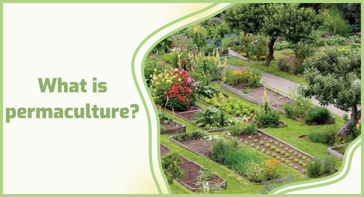 permaculture examples for sustainable living