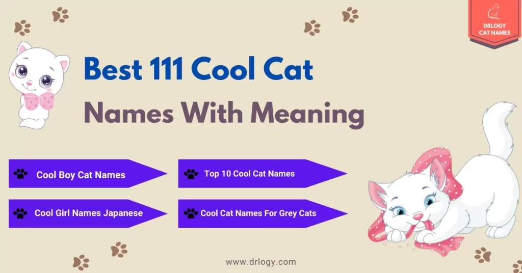 pet names unique ideas for every personality