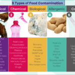 physical contaminants examples in food safety