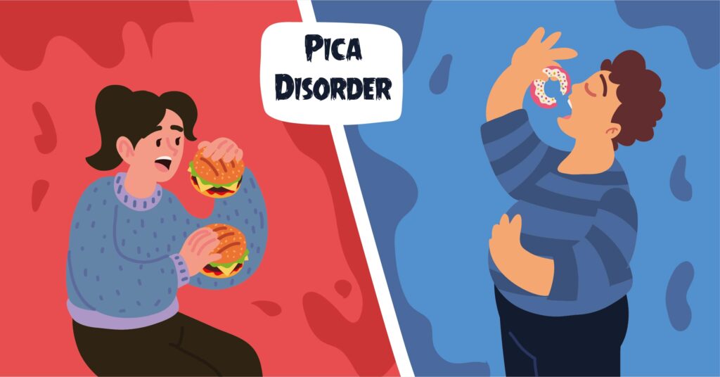 pica examples and insights into this disorder