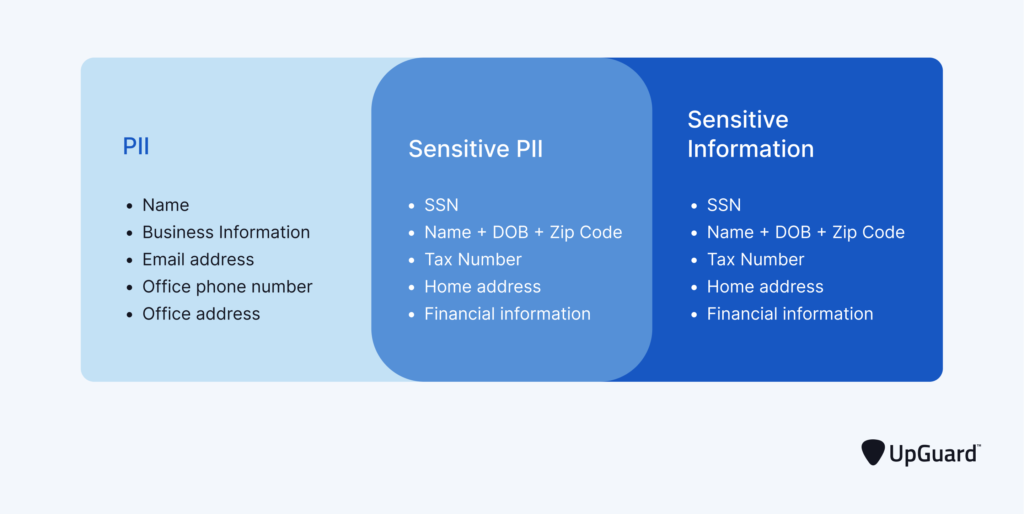 pii meaning key examples and insights