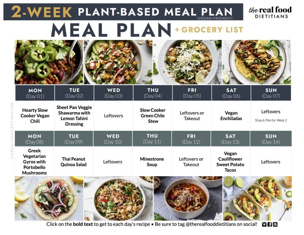 plant based recipes for every meal of the day