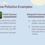 point vs nonpoint source key examples explained