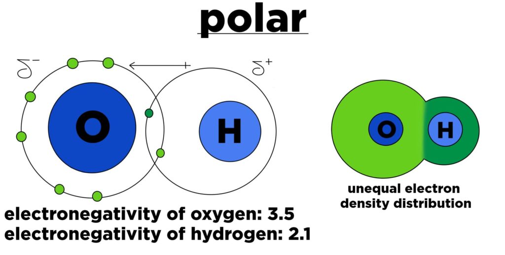 polar bonds key examples and significance