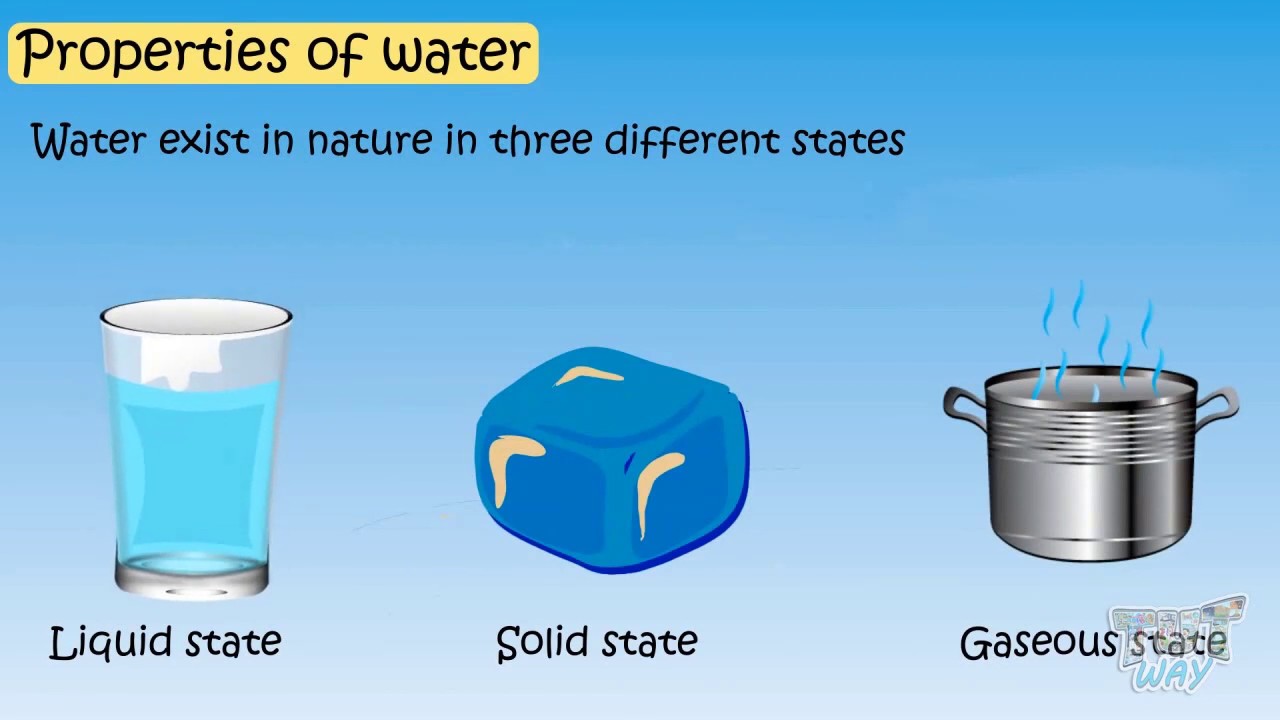 properties of water key examples and importance