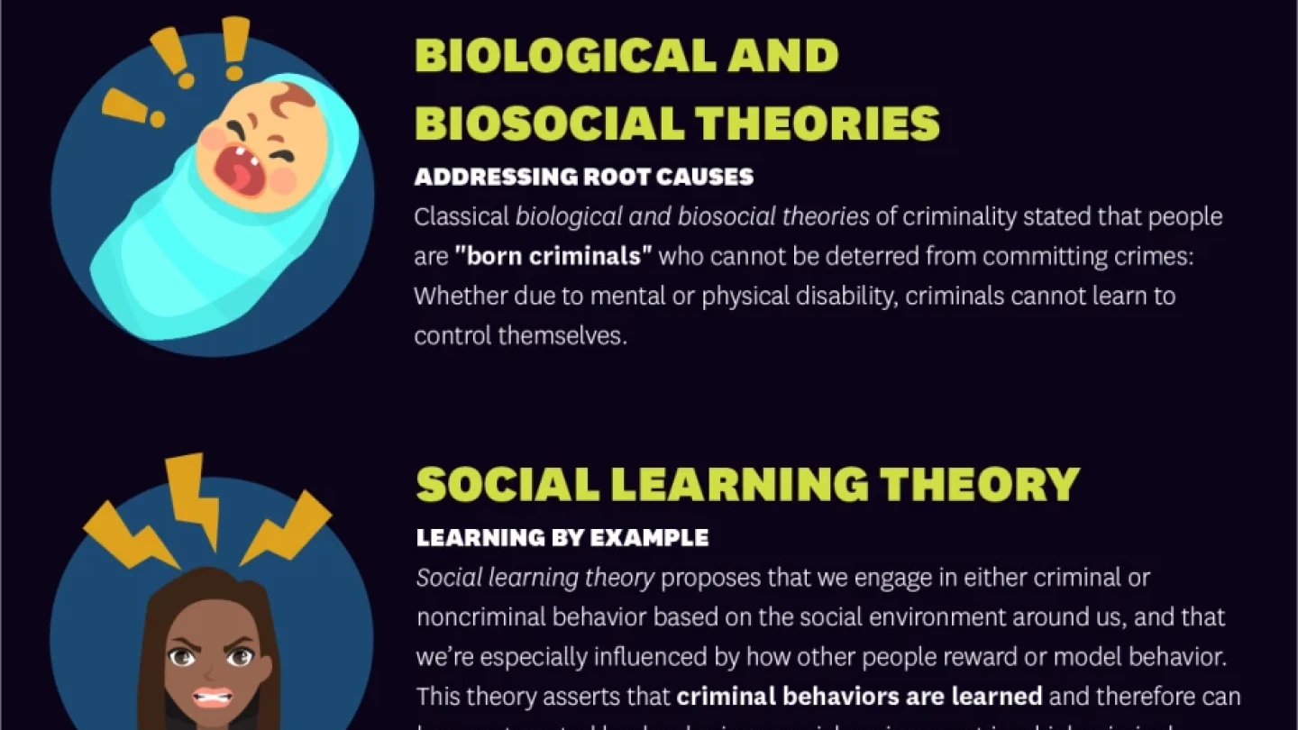 psychological theories of crime key examples