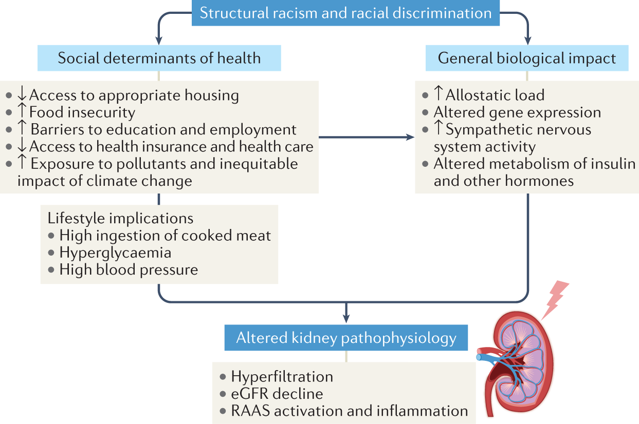 racism definition key examples and insights