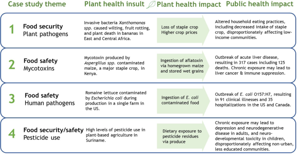 reasons why food production favors infection key examples