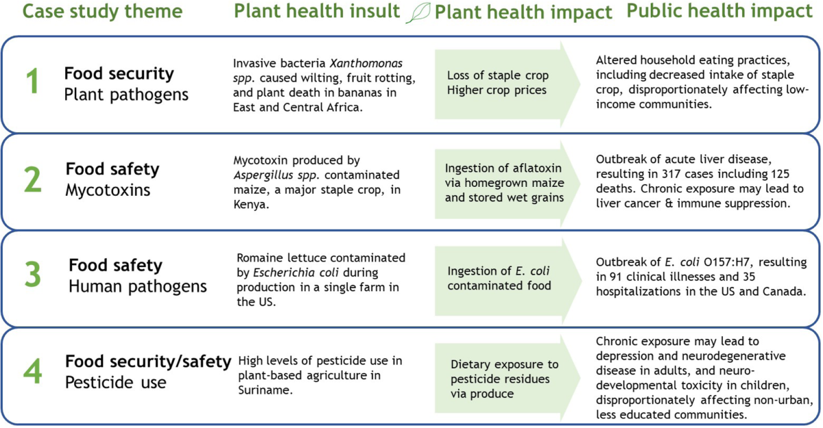 reasons why food production favors infection key examples