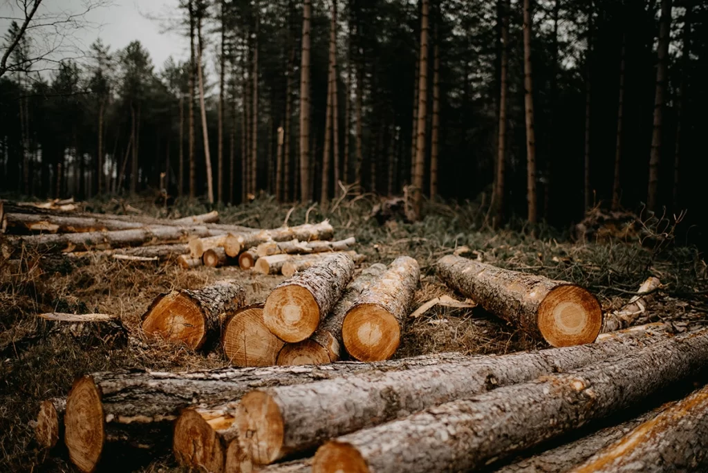 resource depletion examples and their impact