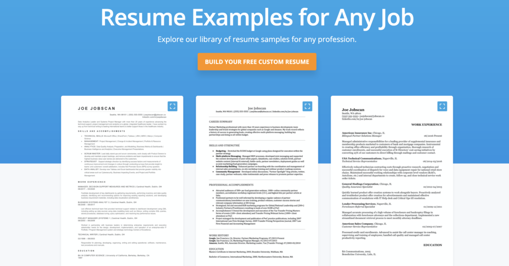 resume format examples for every career path