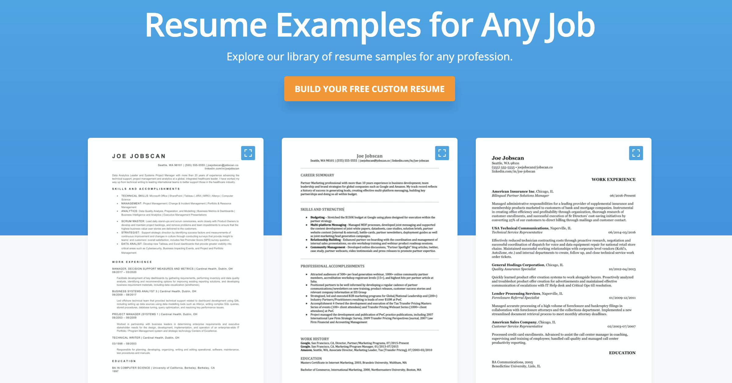 resume format examples for every career path