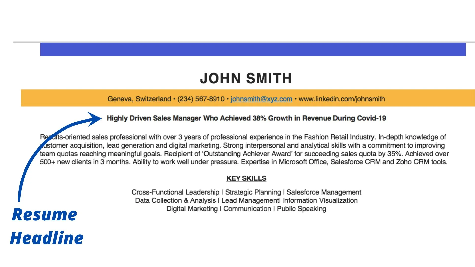 resume headline examples to stand out in your job search