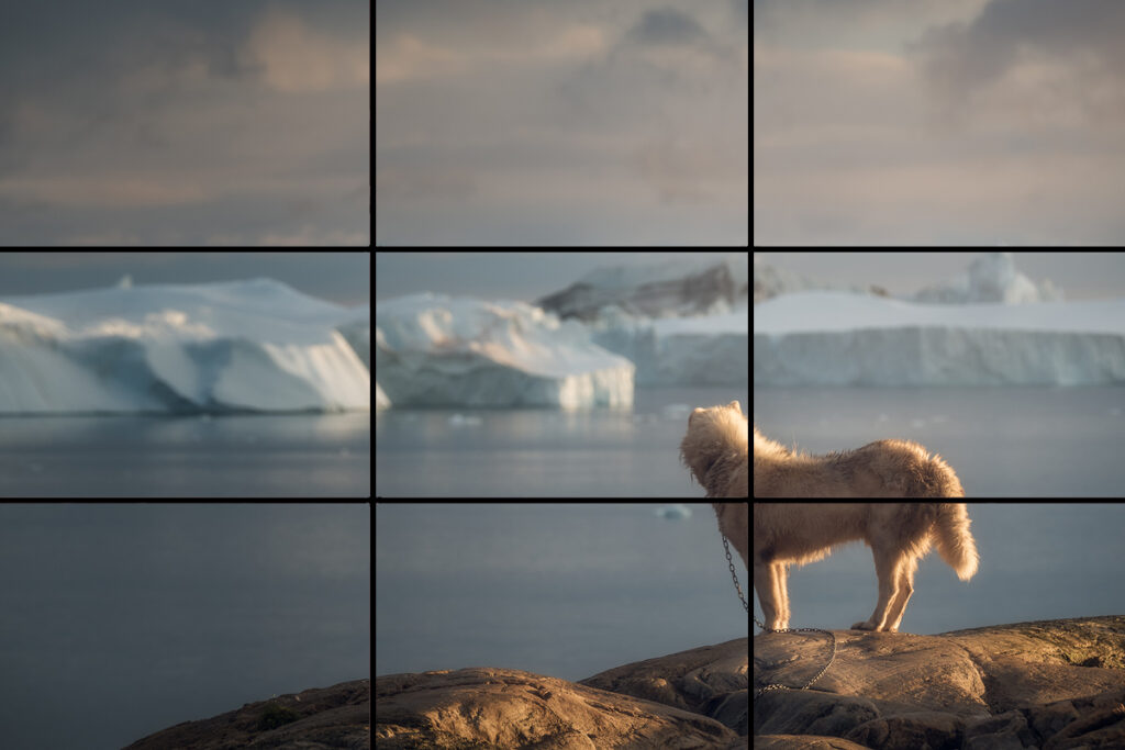 rule of thirds photography effective examples explained