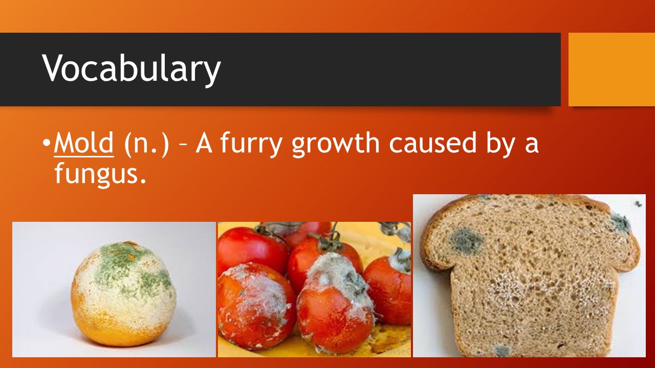 rusting and food spoilage key examples explained