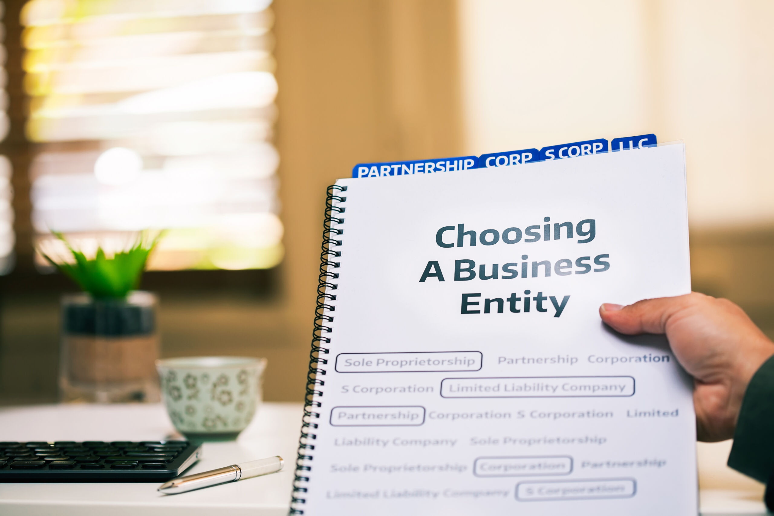 s corporation examples for small business success