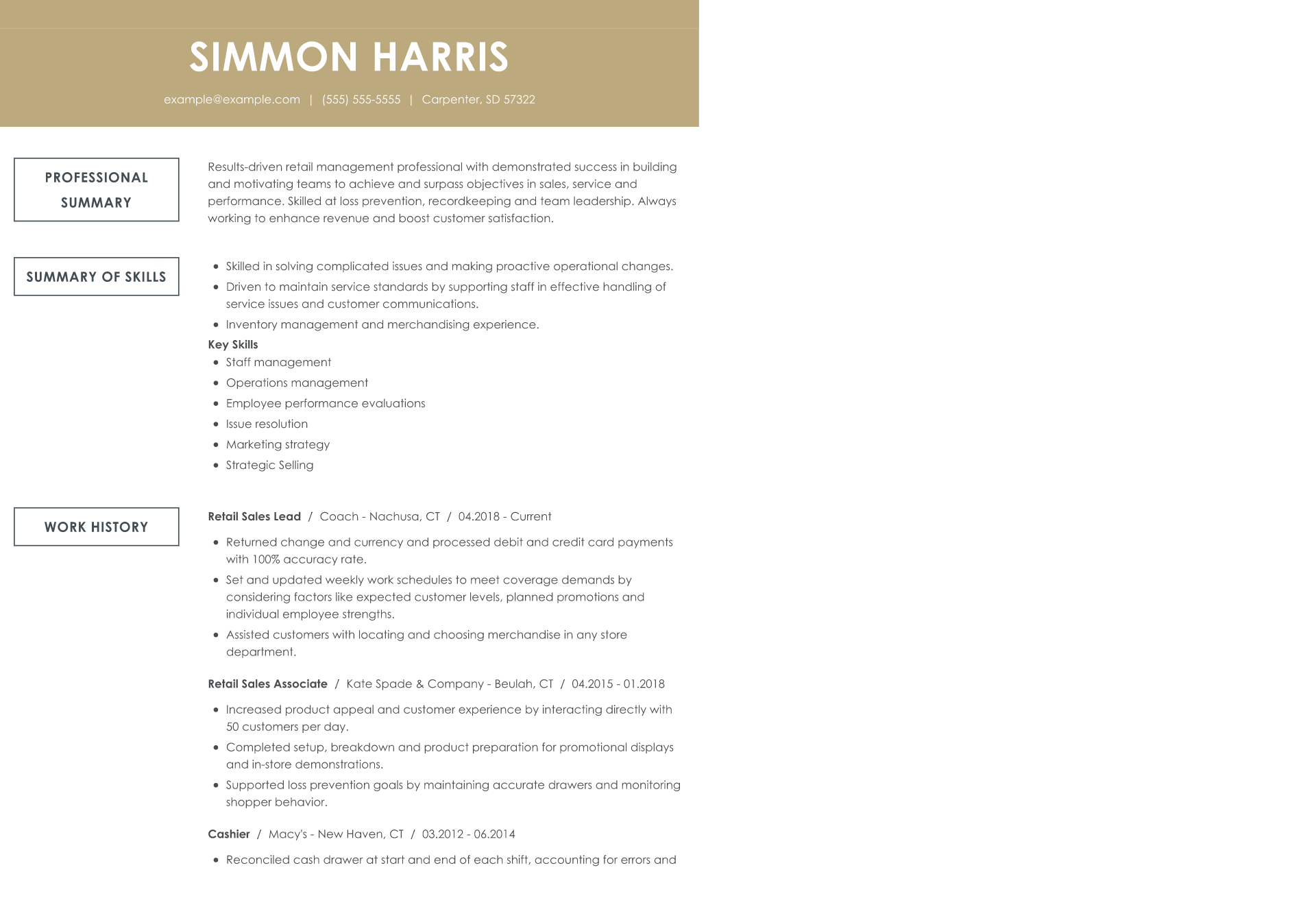 sales resume examples to boost your job applications