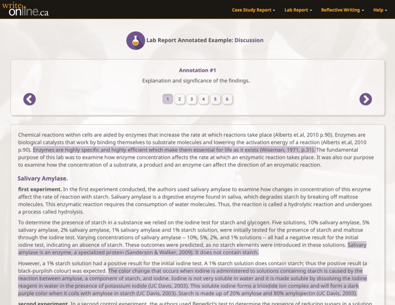Sapience Report Example Sample Lab Reports: Key Components and Examples