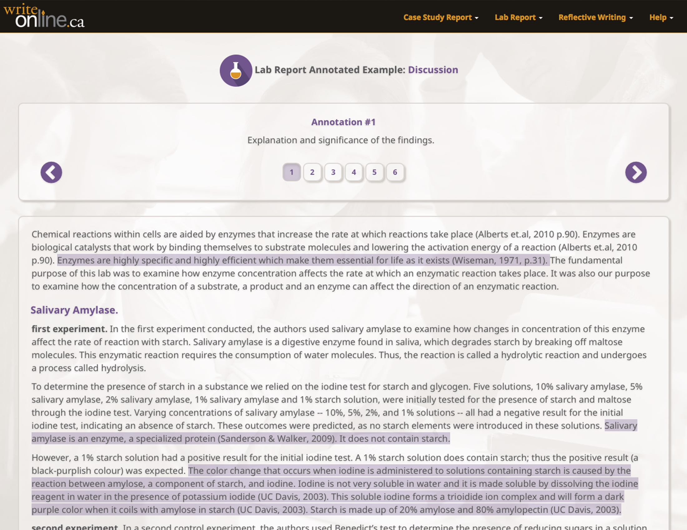 sample lab reports key components and examples