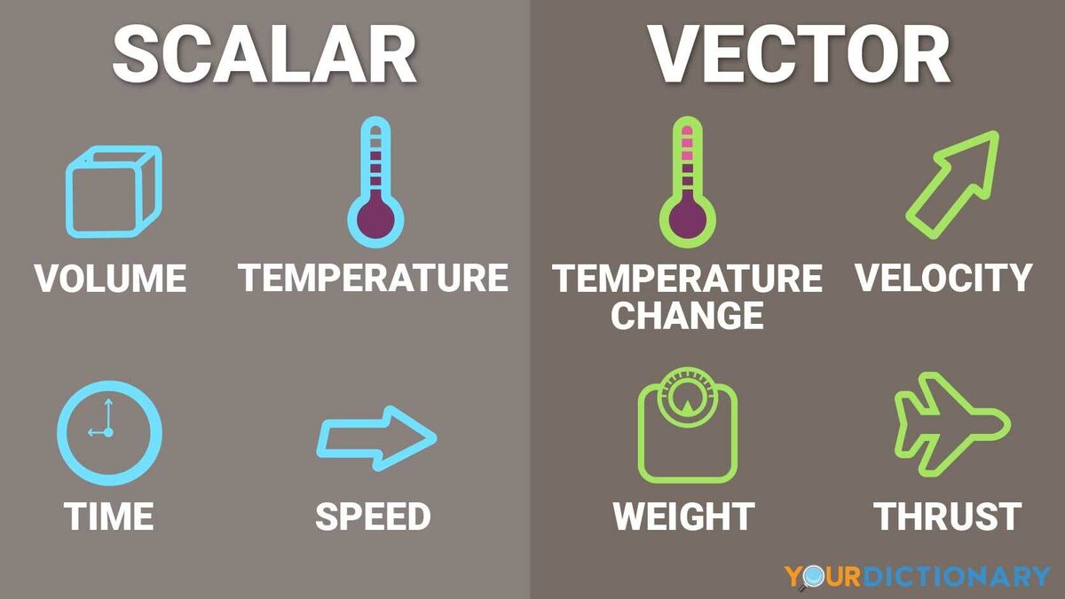 scalar quantity examples in everyday life