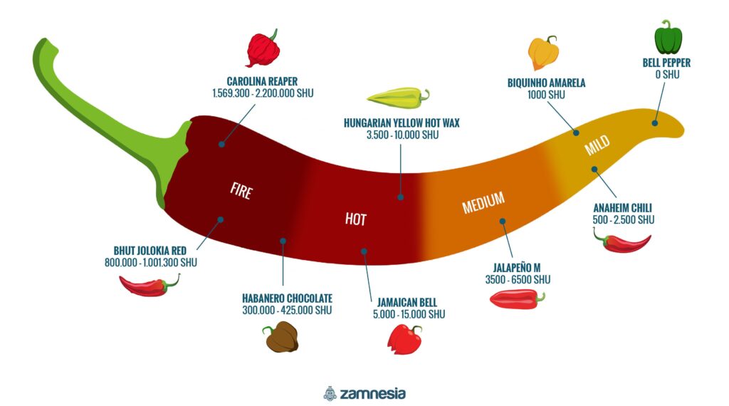 scoville heat levels of popular peppers explained scaled
