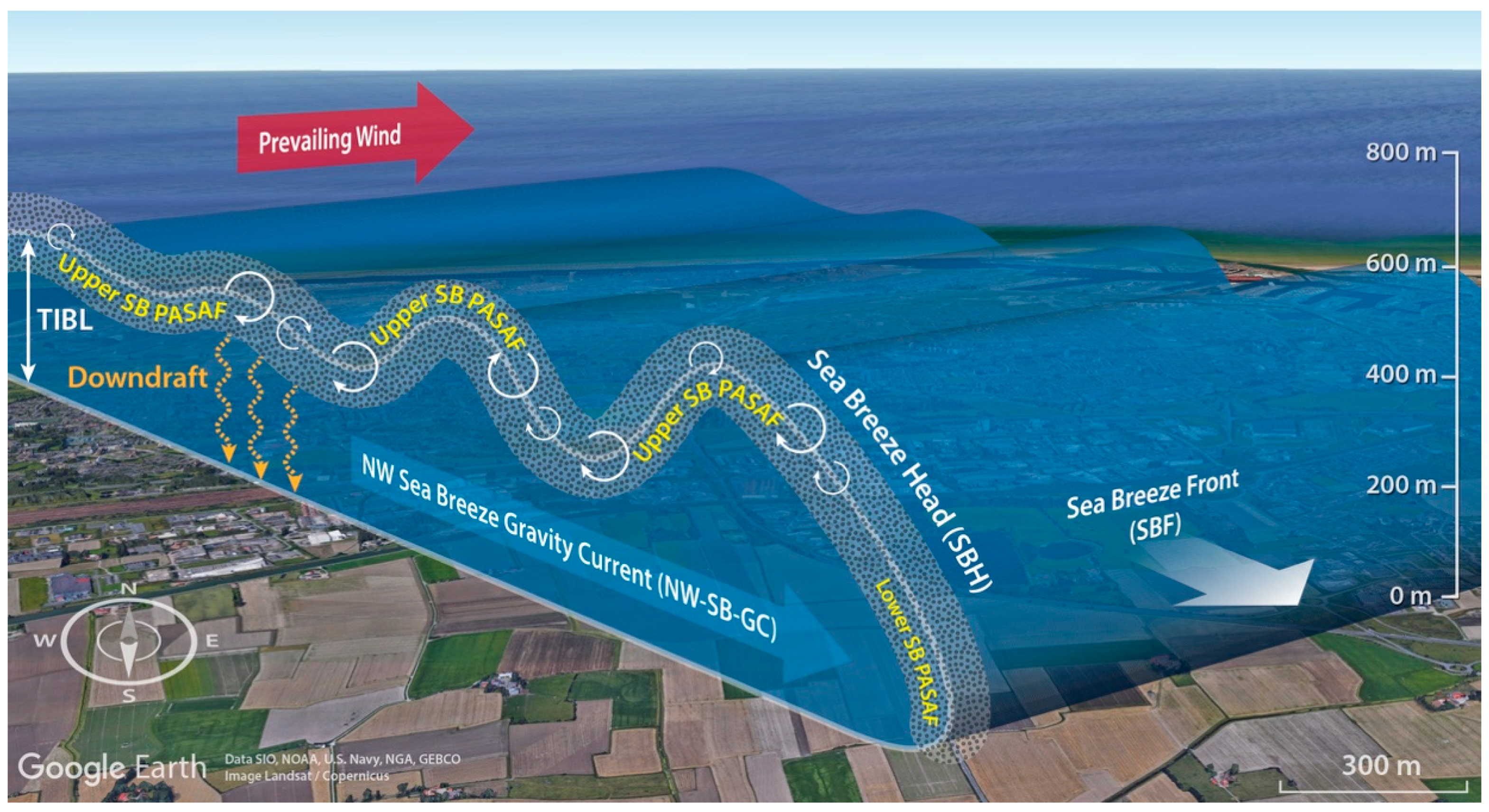 sea breeze examples and effects on coastlines