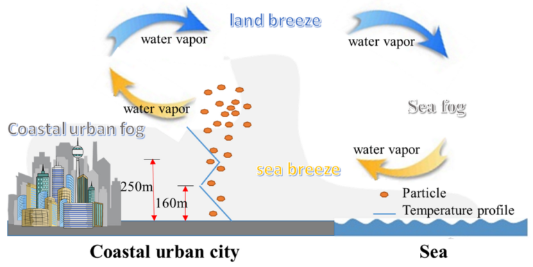Sea Example Sea Breeze Examples Shaping Coastal Climates Worldwide