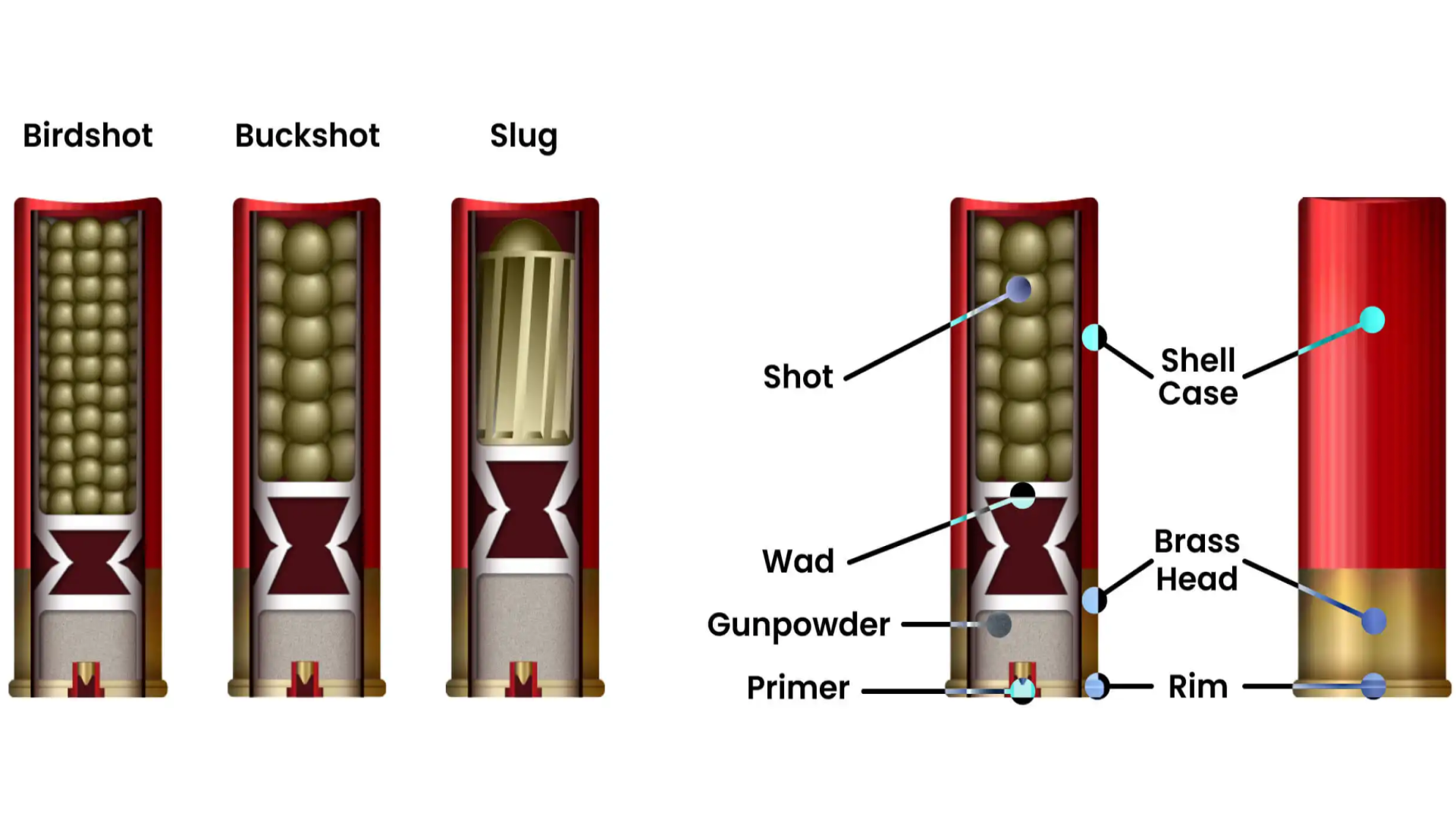 shot pellets and bullets as projectiles