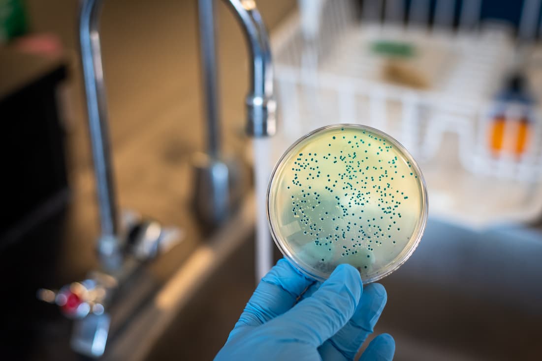 sources of biological hazards key examples