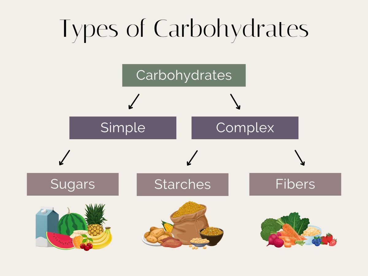 starch and fiber are examples of essential carbohydrates