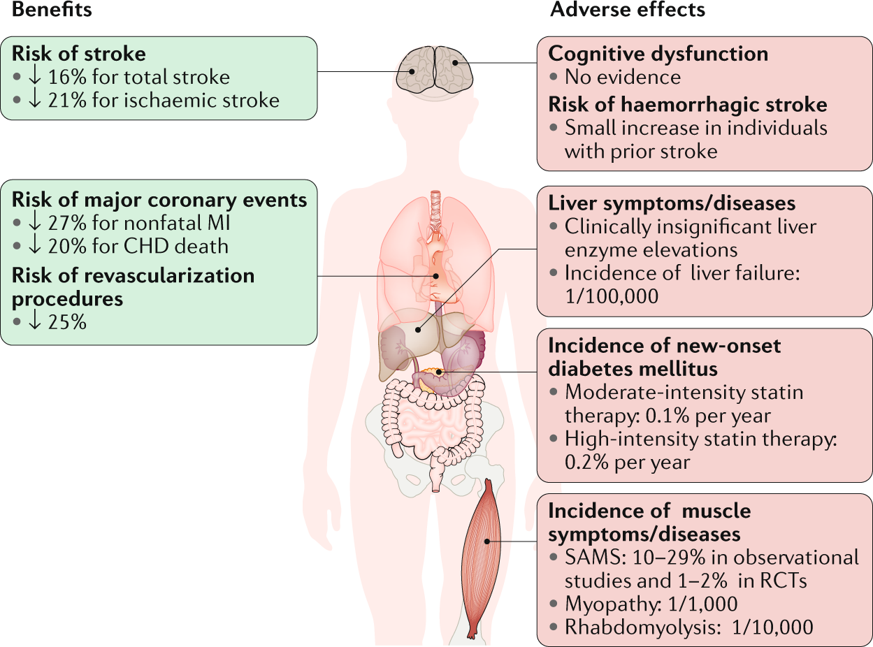 statins examples and benefits for heart health
