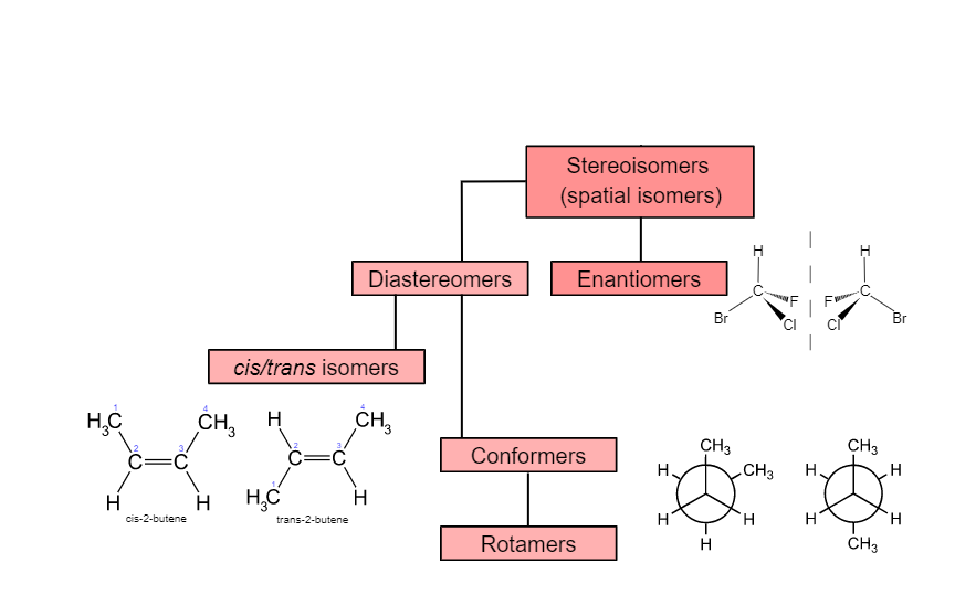 stereoisomers examples understanding their unique properties
